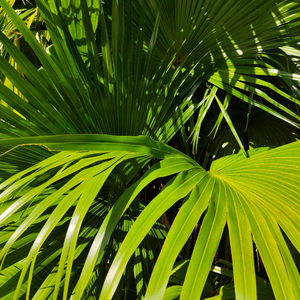 贵族女沦为官妓h呻吟H
